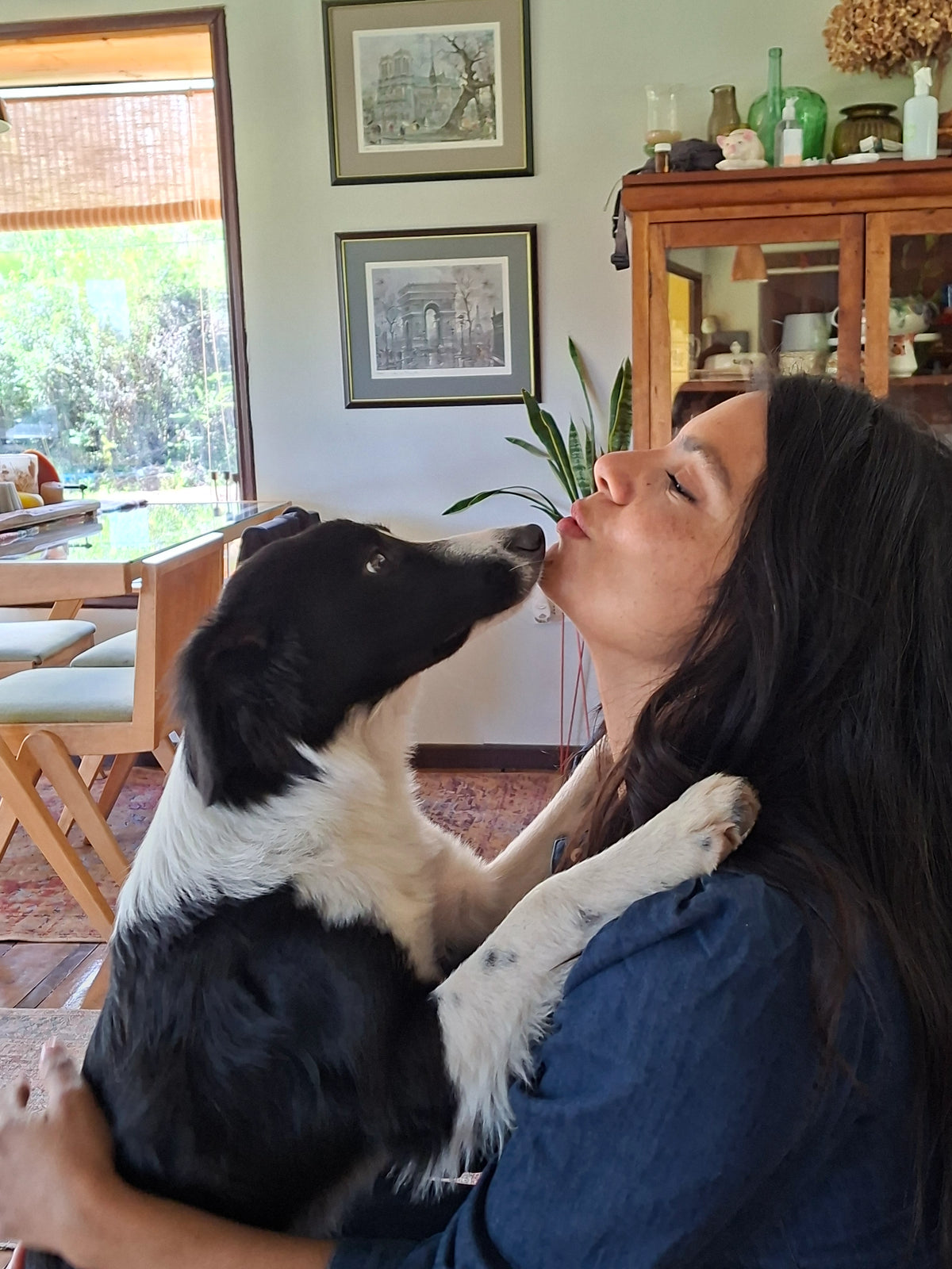 Para casas donde las mascotas son familia
